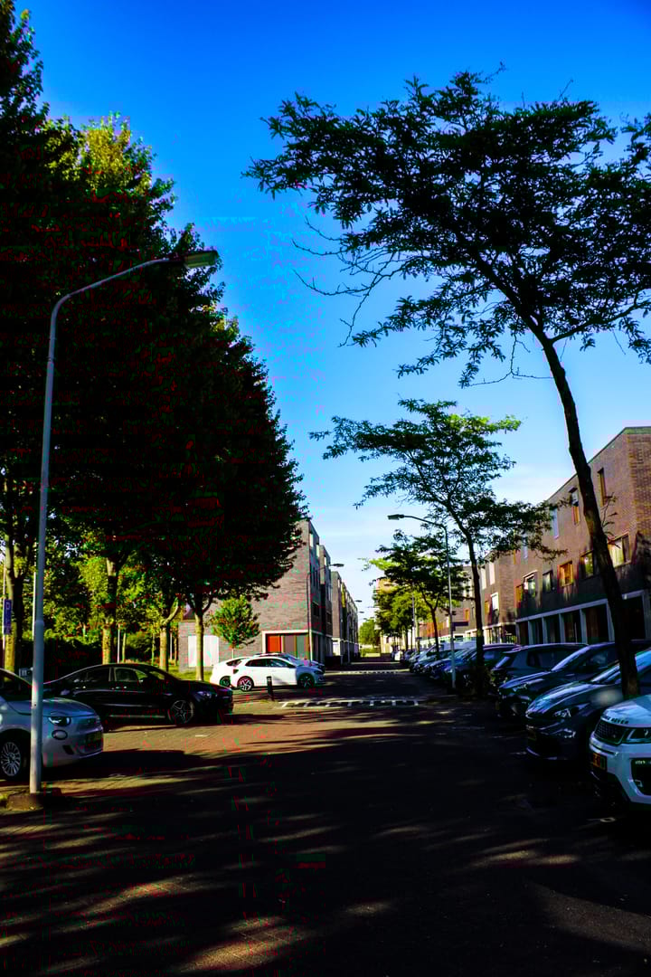 Foto 8 van Keizerskroon 38