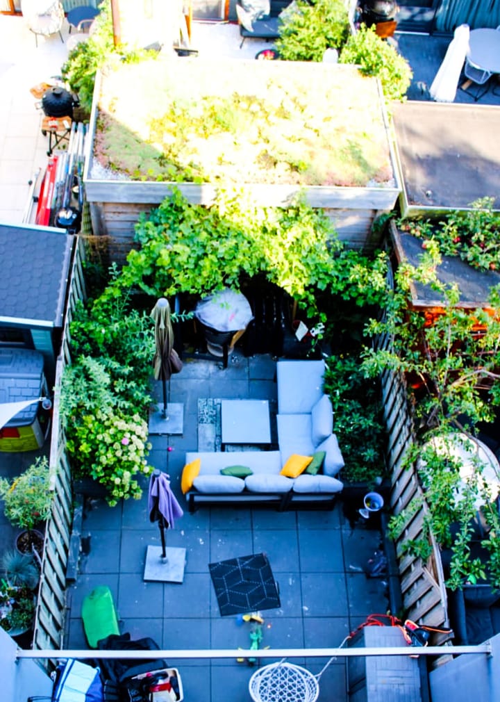 Foto 40 van Keizerskroon 38