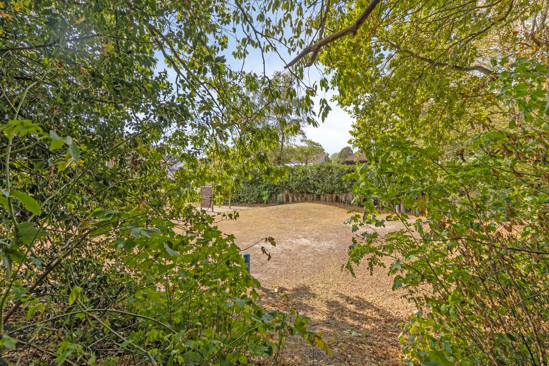 Foto 46 van Diamantdijk 113