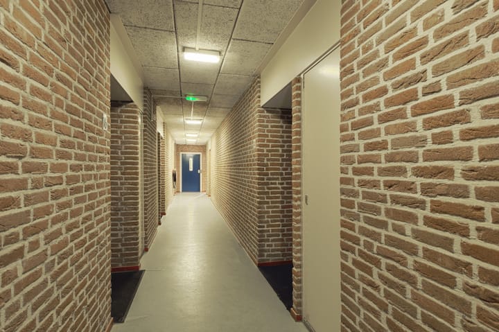 Foto 8 van Engelsetuin 14