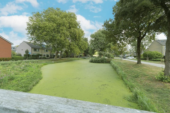 Foto 25 van Engelsetuin 14