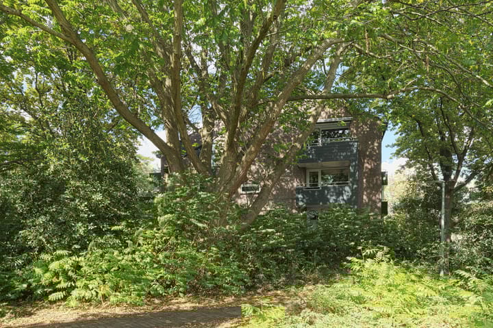 Foto 27 van Engelsetuin 14