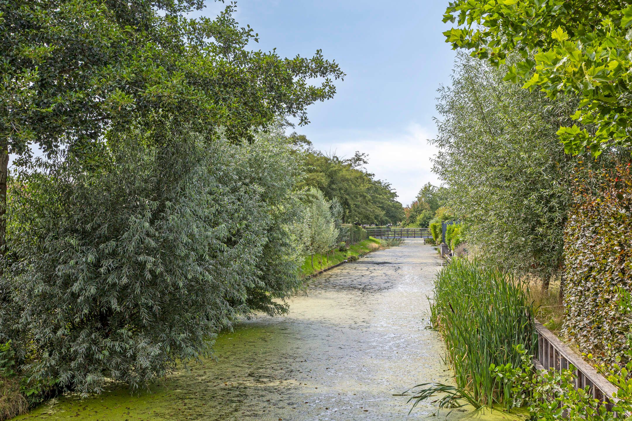 Photo 51 of Reiger 12