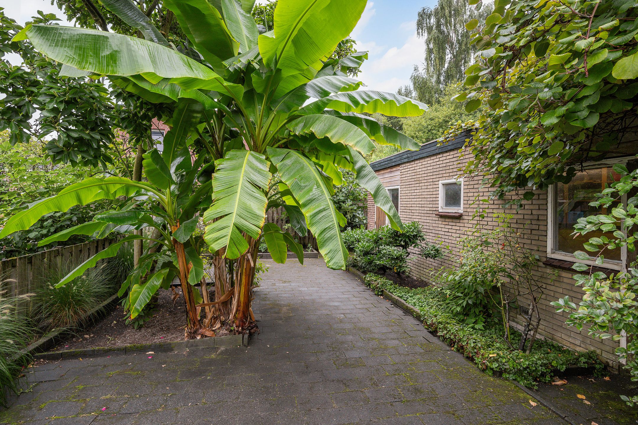 Foto 15 van Hoofdweg 142