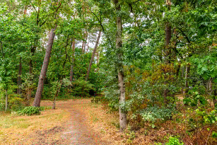 Foto 37 van Kerckeboschlaan 16