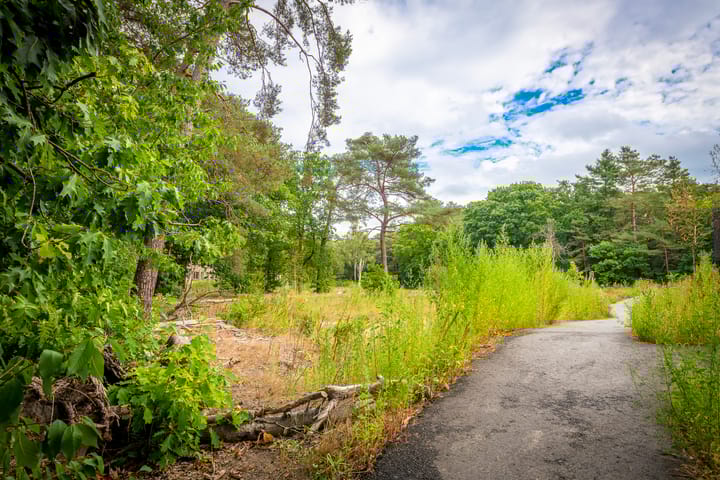 Foto 39 van Kerckeboschlaan 16