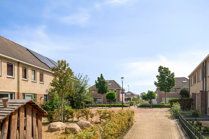 Foto 45 van Hondsdraf 160