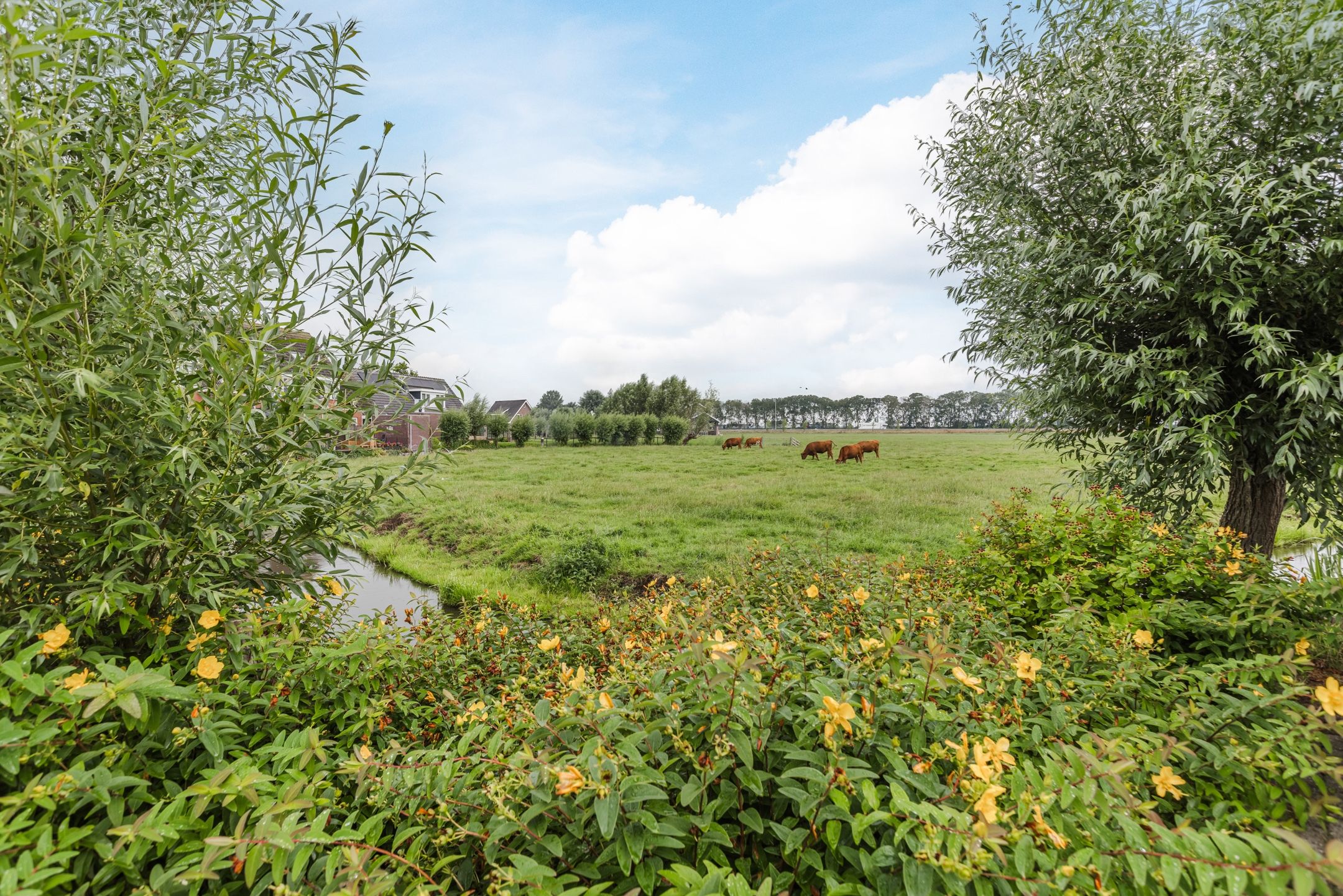 Foto 30 van Meester van Loostraat 1-A