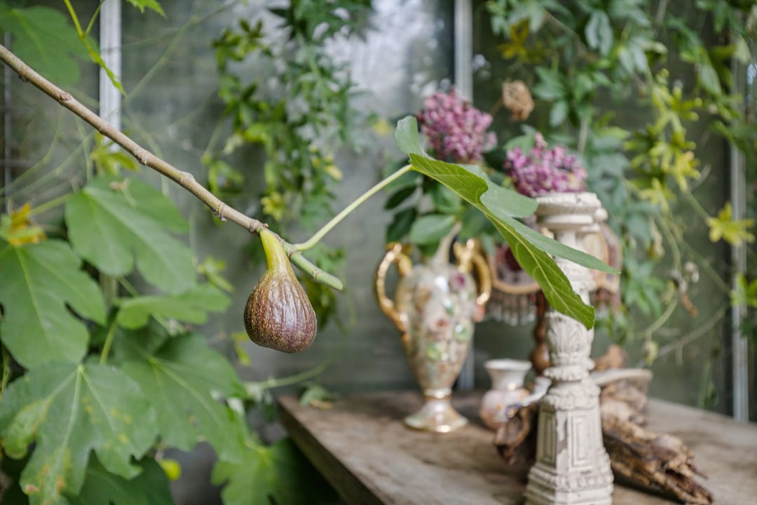 Foto 46 van Zwarteweg 15