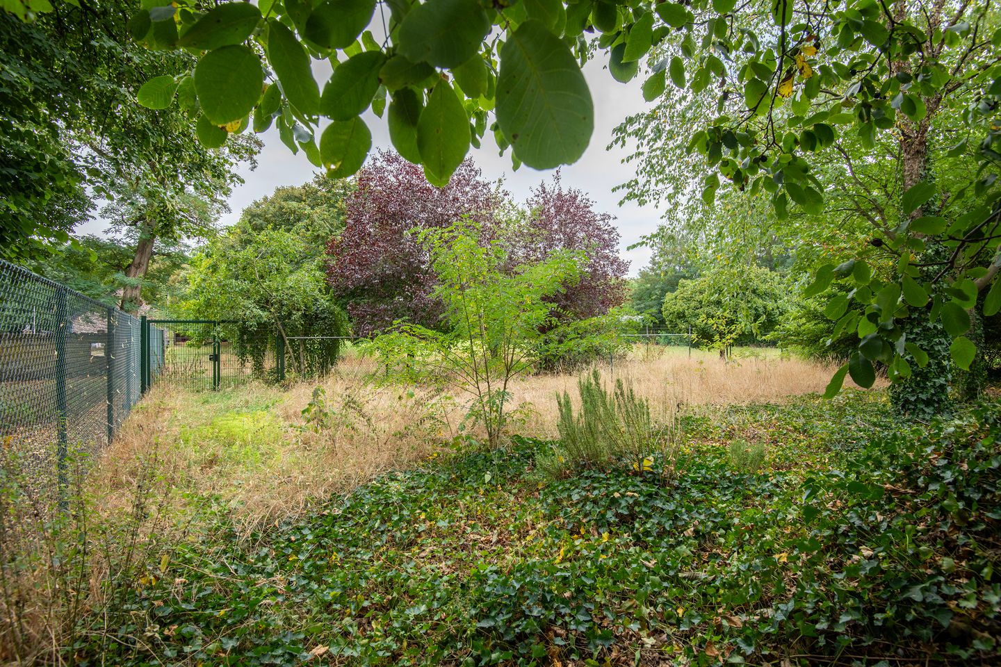 Foto 35 van Rijksweg 230