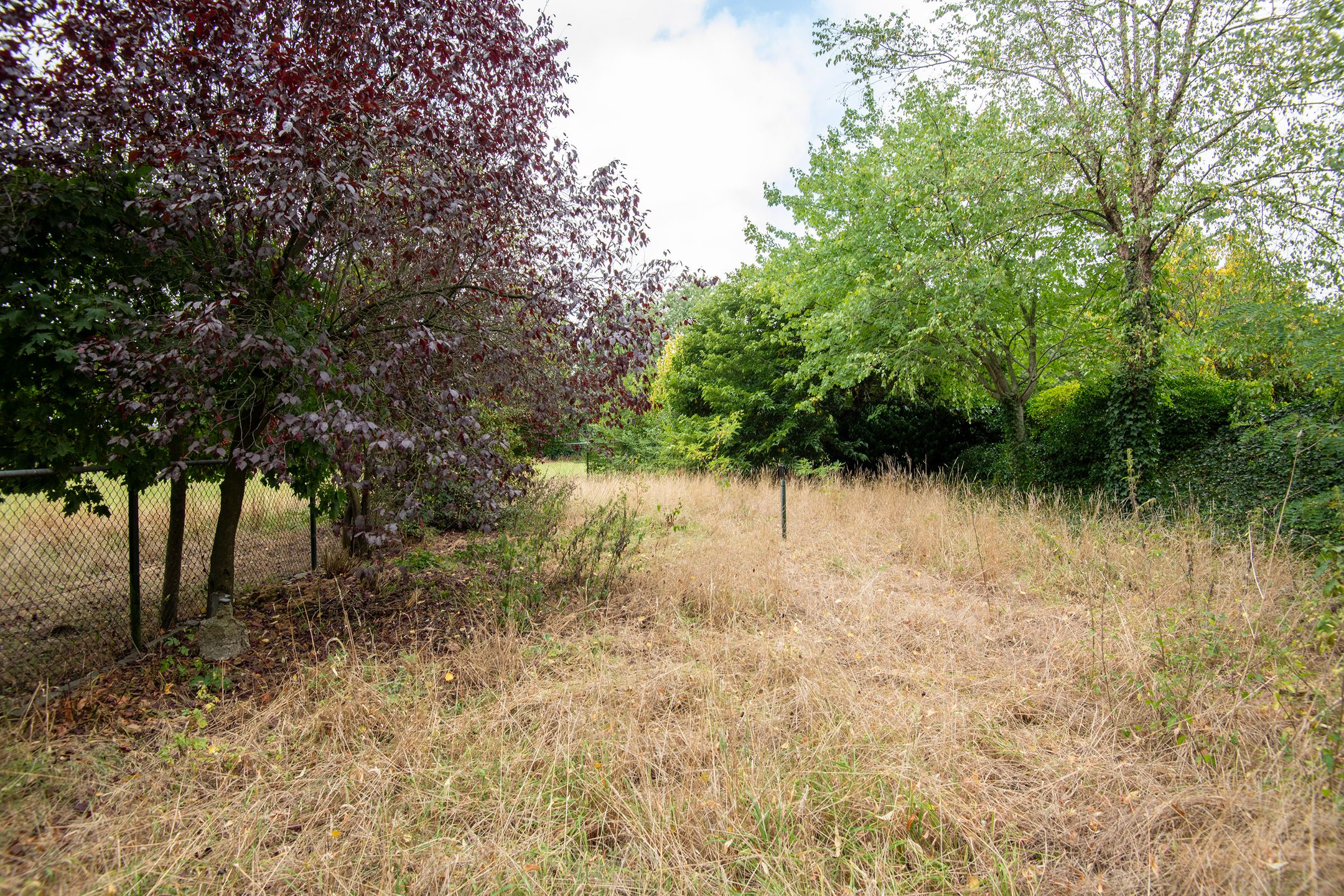 Foto 36 van Rijksweg 230