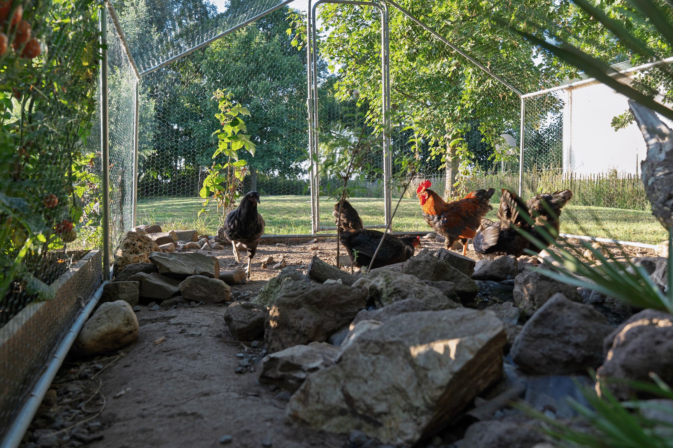 Photo 63 of Lopikerweg west 97