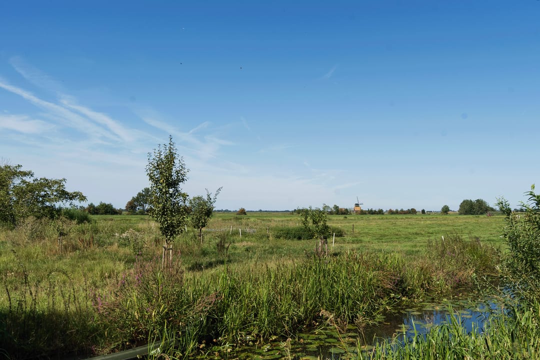 Photo 67 of Lopikerweg west 97