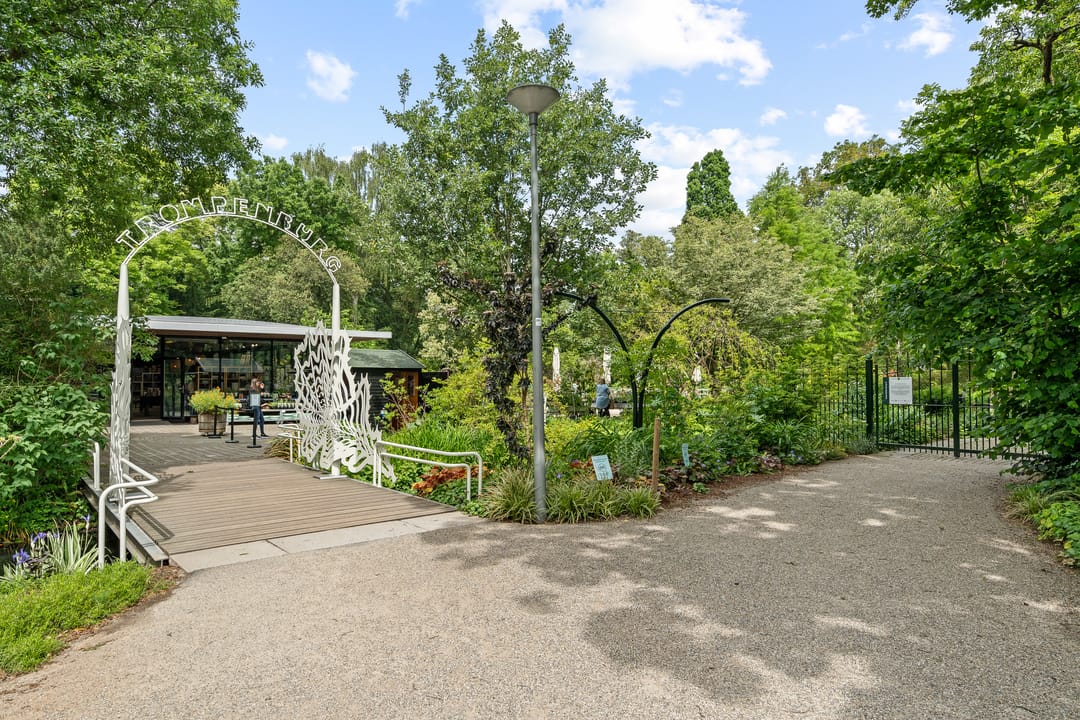 Foto 37 van Honingerdijk 41-B02