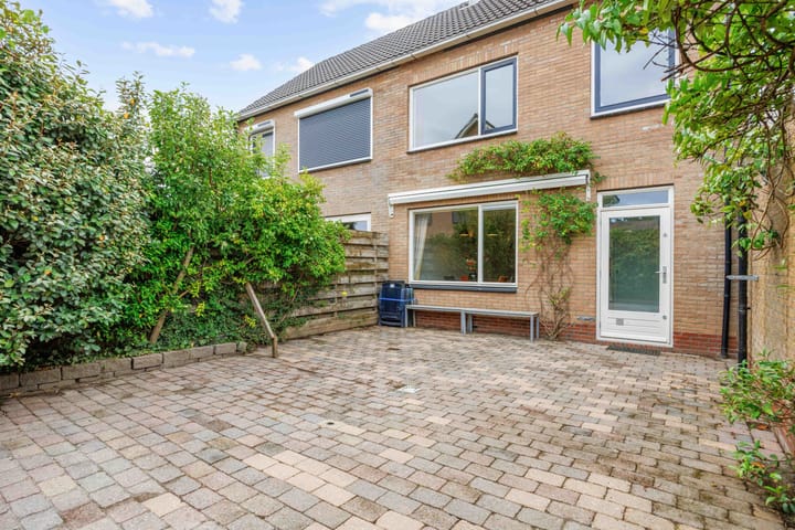 Photo 37 of Meseame 8