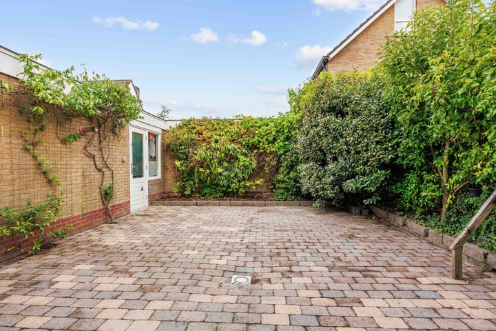 Photo 39 of Meseame 8