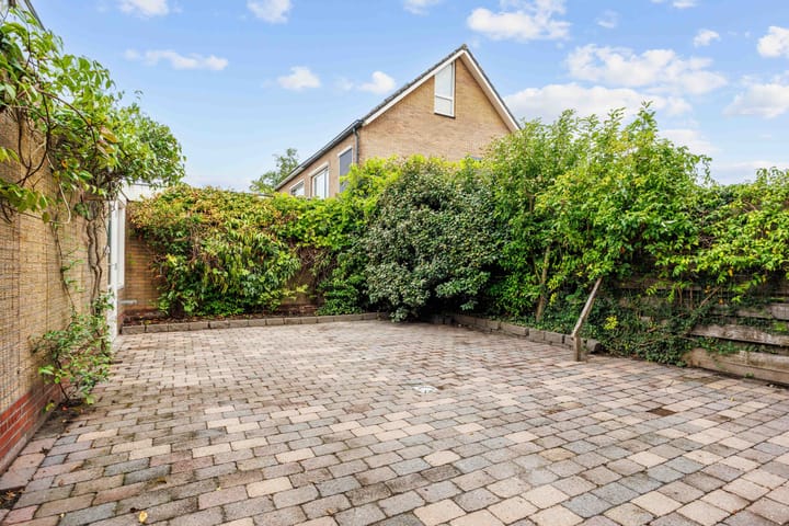 Photo 40 of Meseame 8