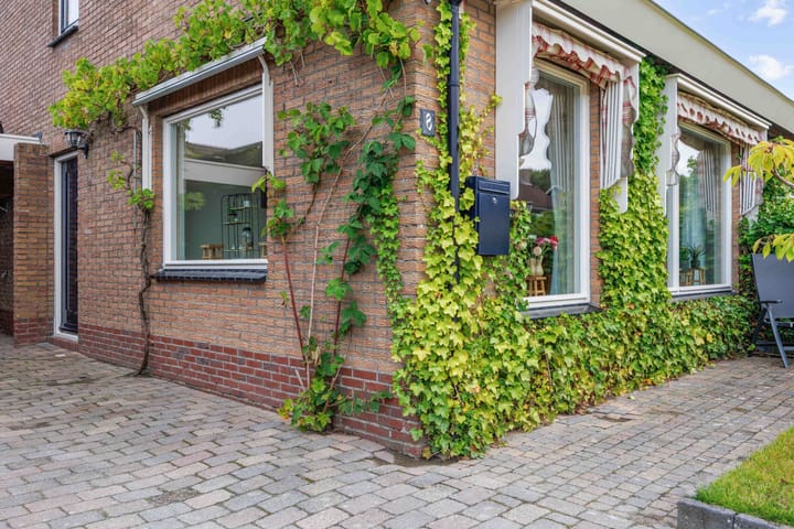 Photo 42 of Meseame 8