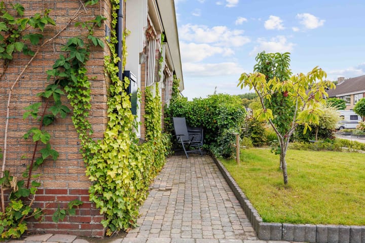 Photo 43 of Meseame 8