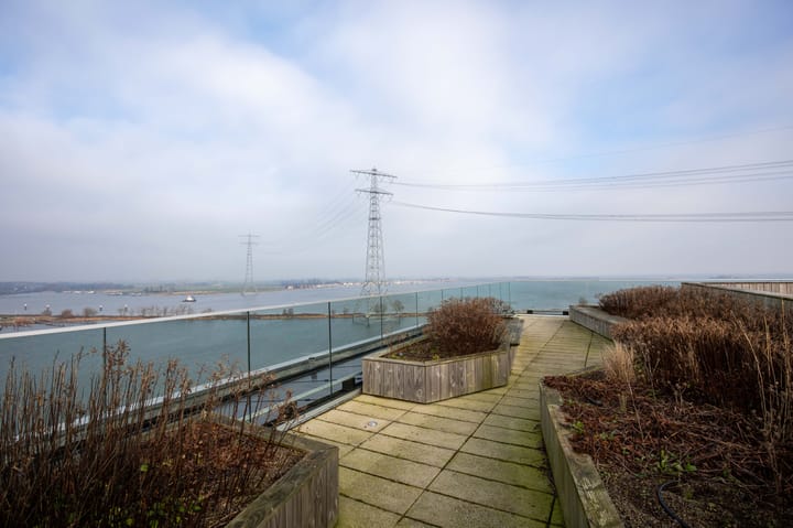 Photo 51 of Haringbuisdijk 453