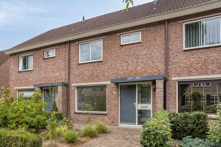 Foto 1 van Boterbloem 13