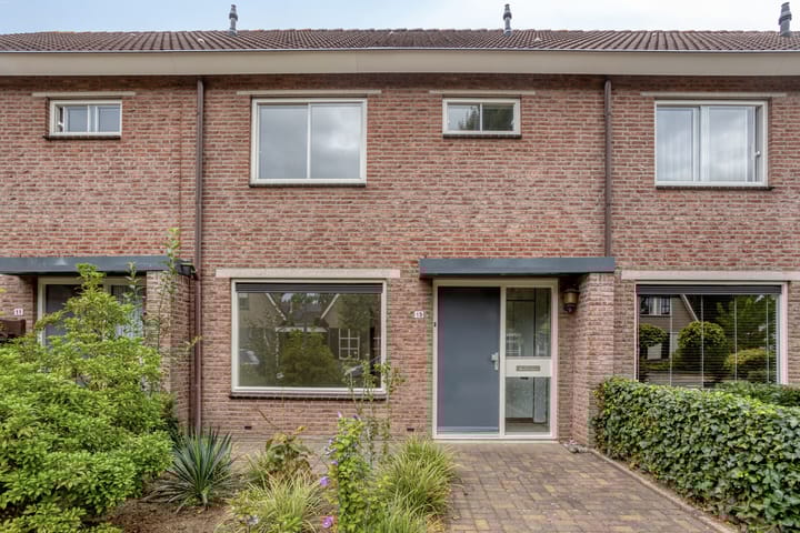 Foto 2 van Boterbloem 13