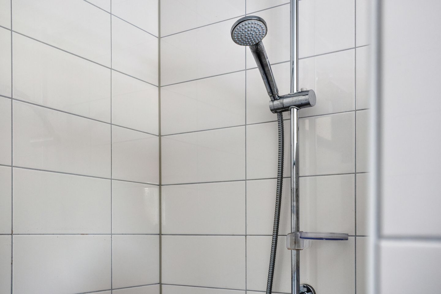 Photo 19 of Boterbloem 13