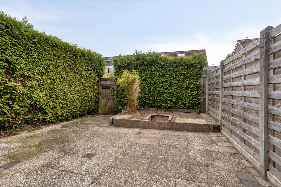 Photo 26 of Boterbloem 13