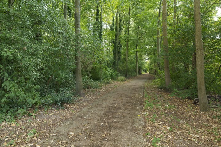 Foto 5 van Godijn van Dormaalstraat 34