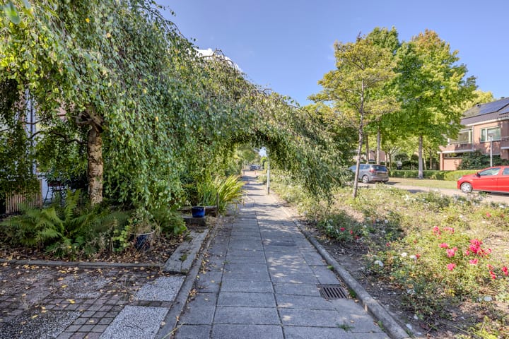 Foto 39 van Donge 12