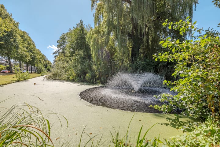 Foto 40 van Donge 12