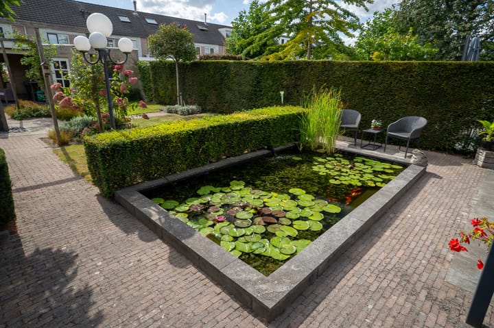 Foto 47 van De Schelf 12