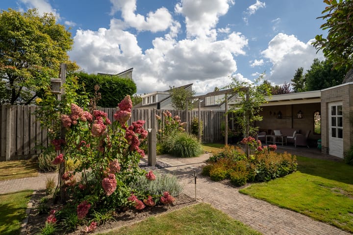 Foto 50 van De Schelf 12