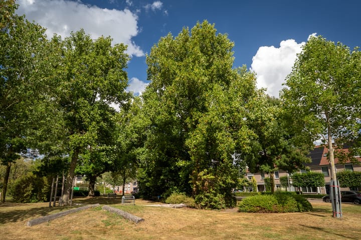 Foto 58 van De Schelf 12