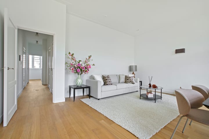 Foto 3 van De Lairessestraat 42-2