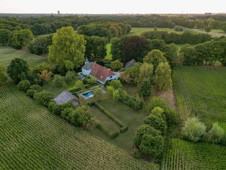 Loofaert 1 secondary image