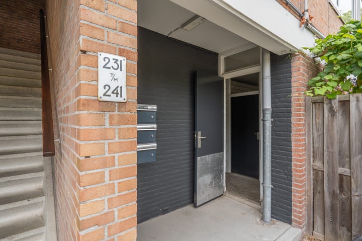 Photo 34 of Molenstraat 241