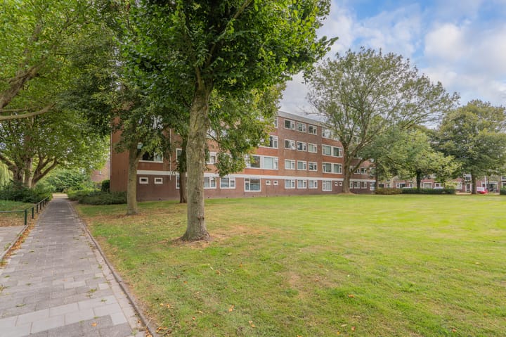 Photo 37 of Molenstraat 241