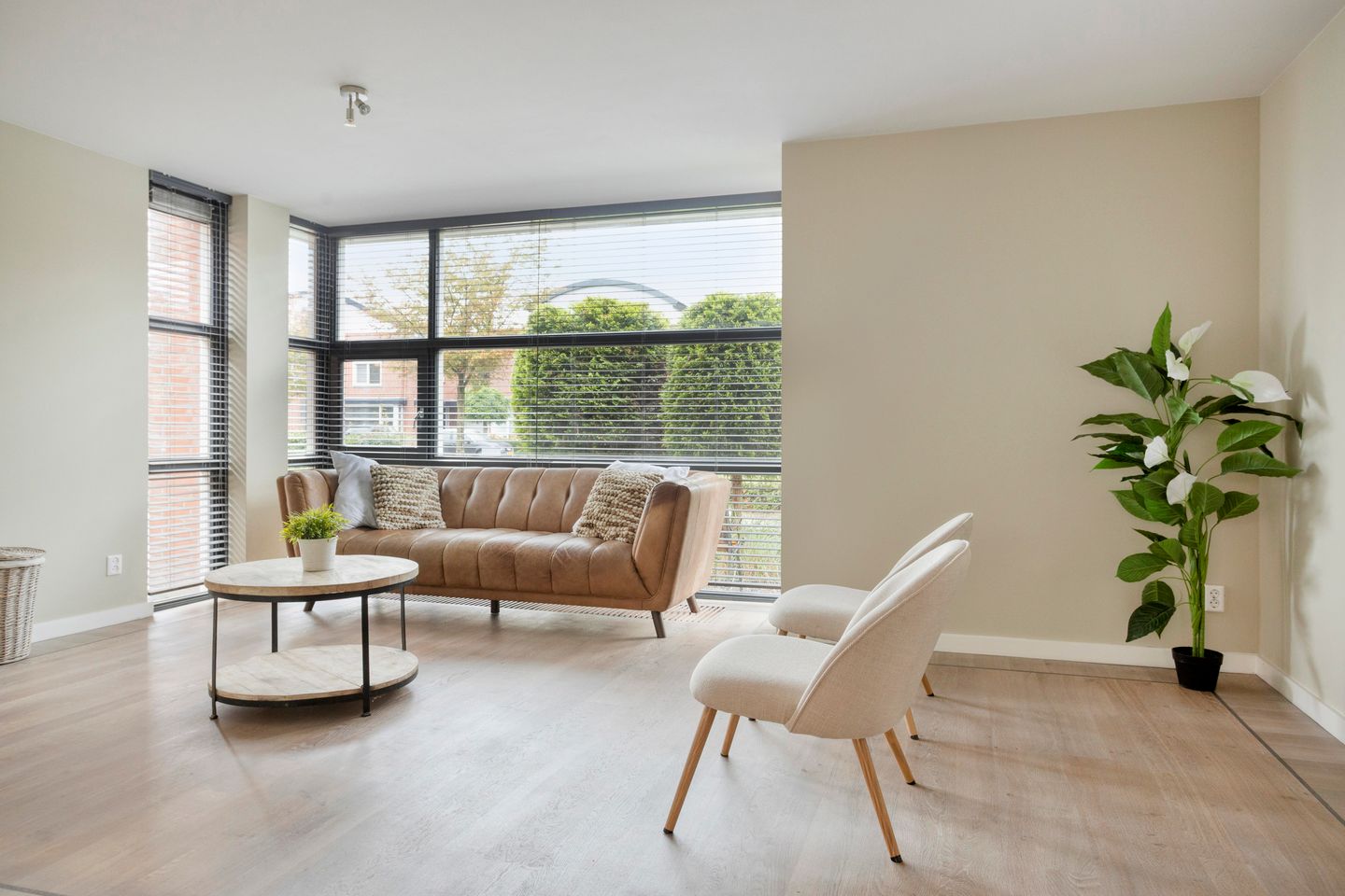 Foto 4 van Toon Hermansplein 11