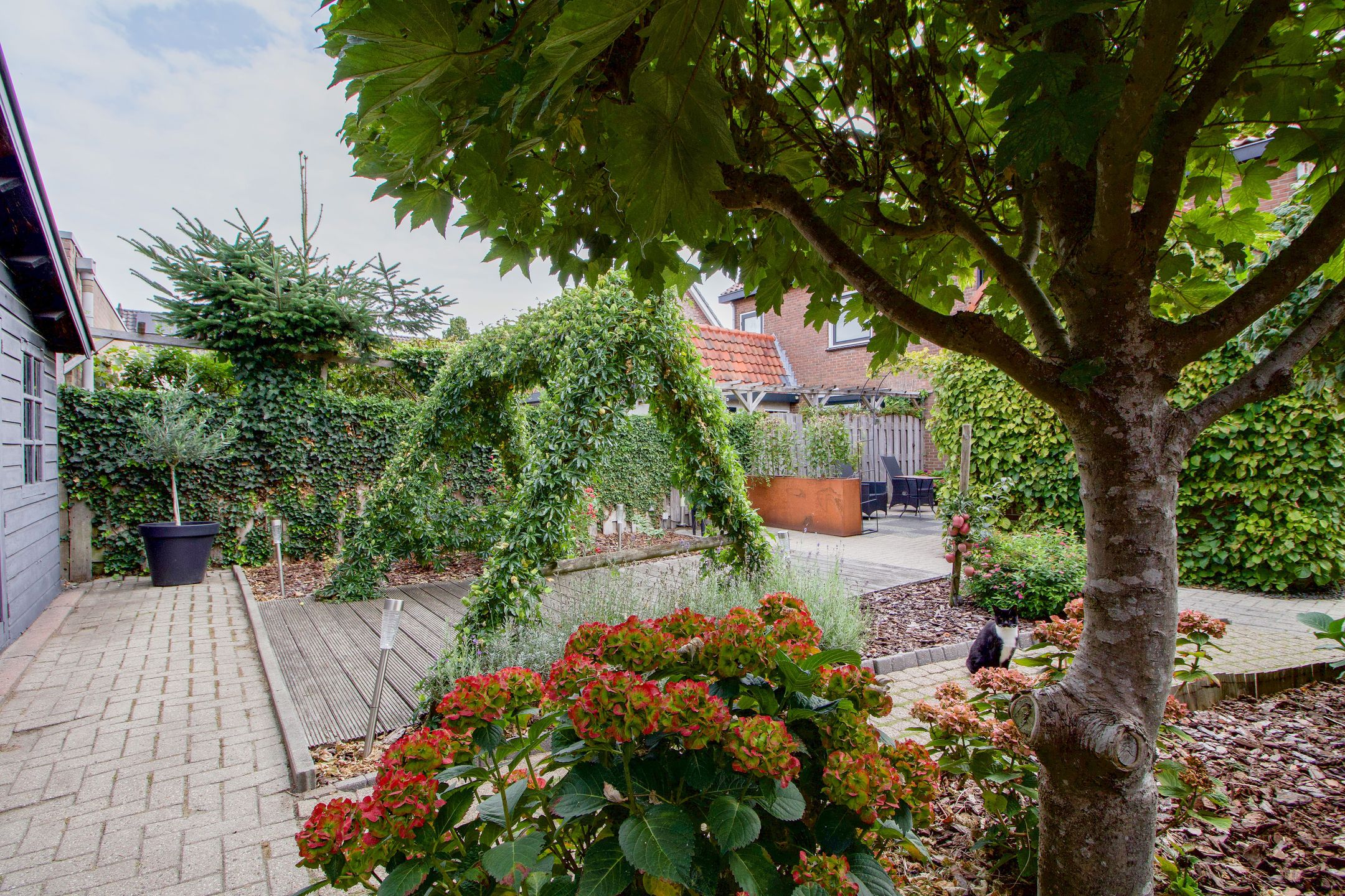 Foto 36 van Colijnstraat 37