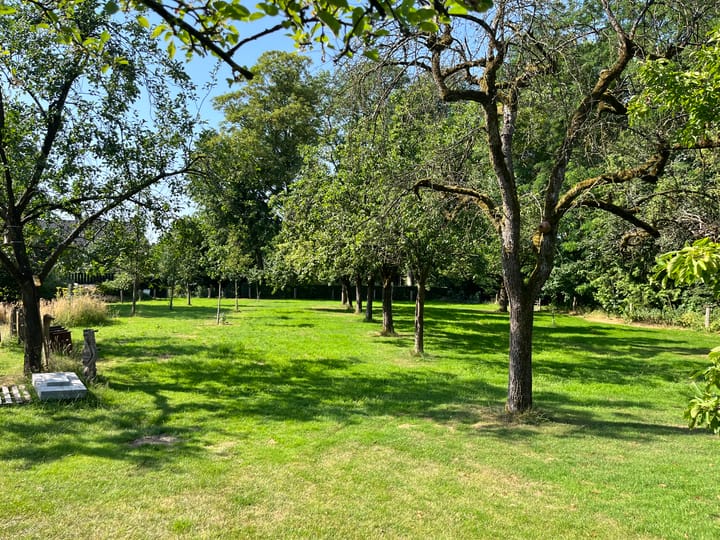 Foto 7 van het Wiemelink 7