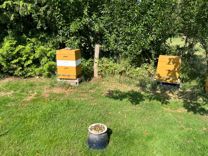 Foto 55 van het Wiemelink 7