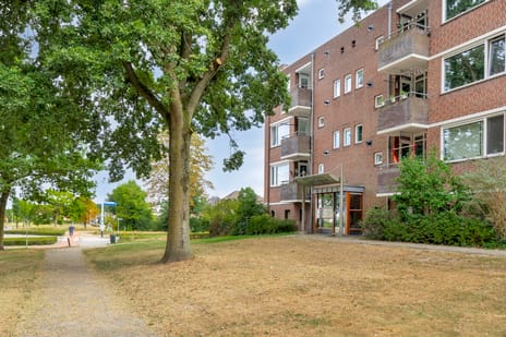 Westsingel 138 tertiary image