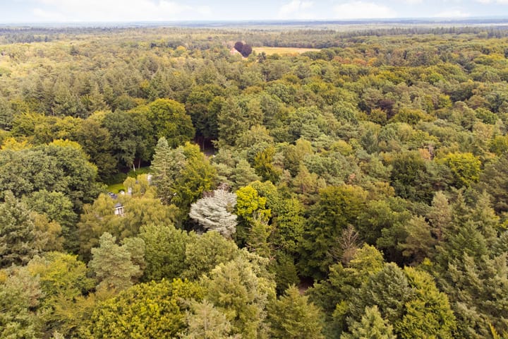 Foto 4 van Hartenseweg 11