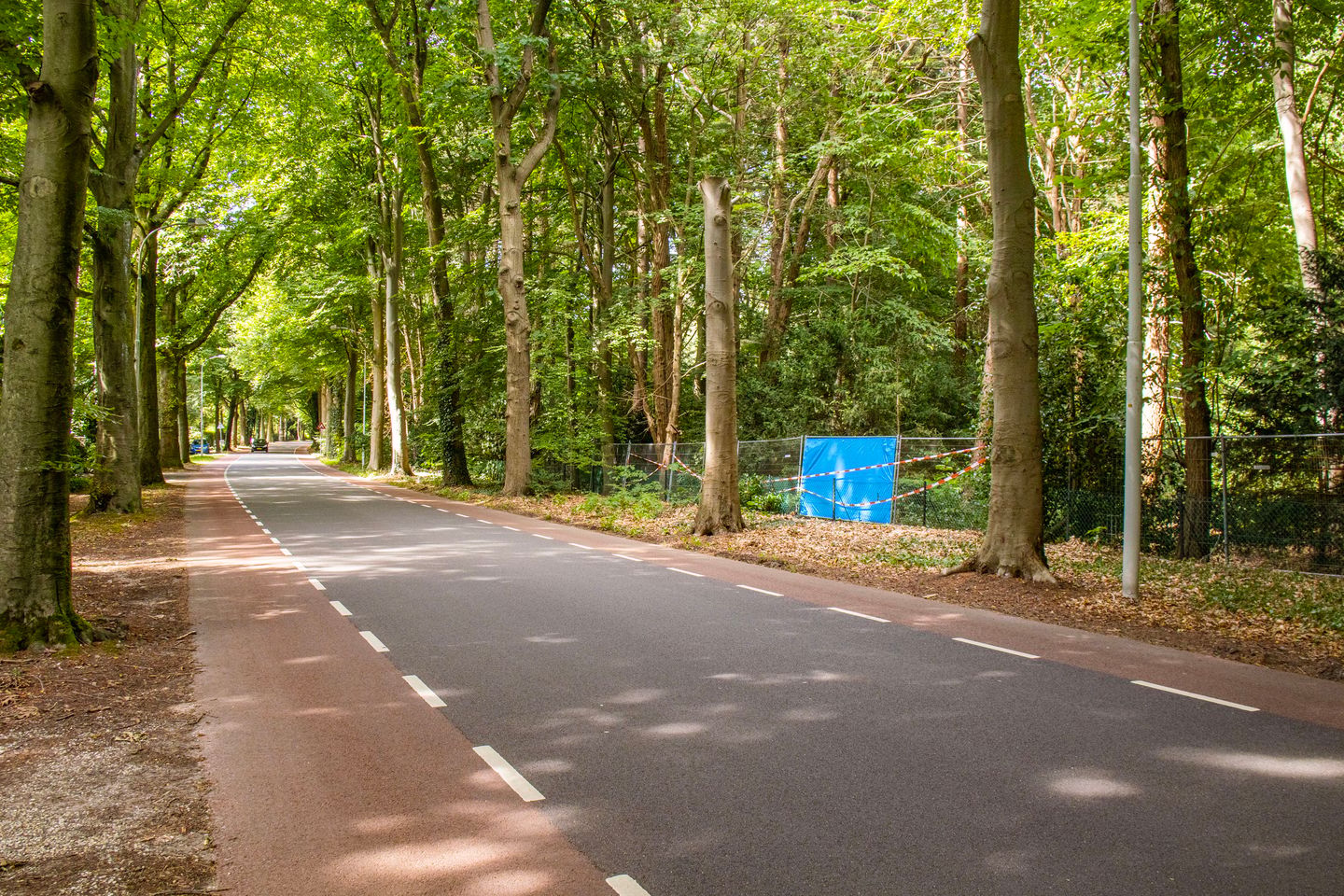 Photo 5 of Hartenseweg 11