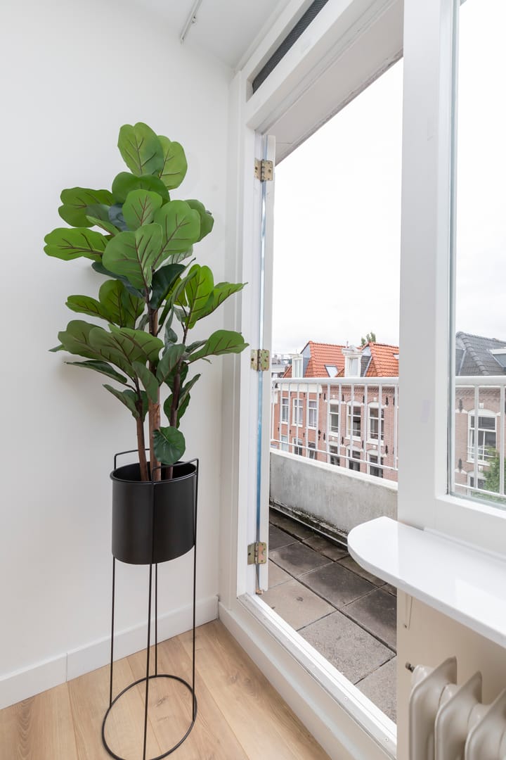 Foto 5 van Eerste Jan Steenstraat 77-A