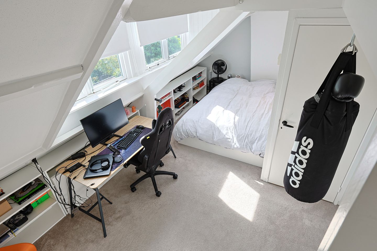 Foto 40 van Boerhaavelaan 49