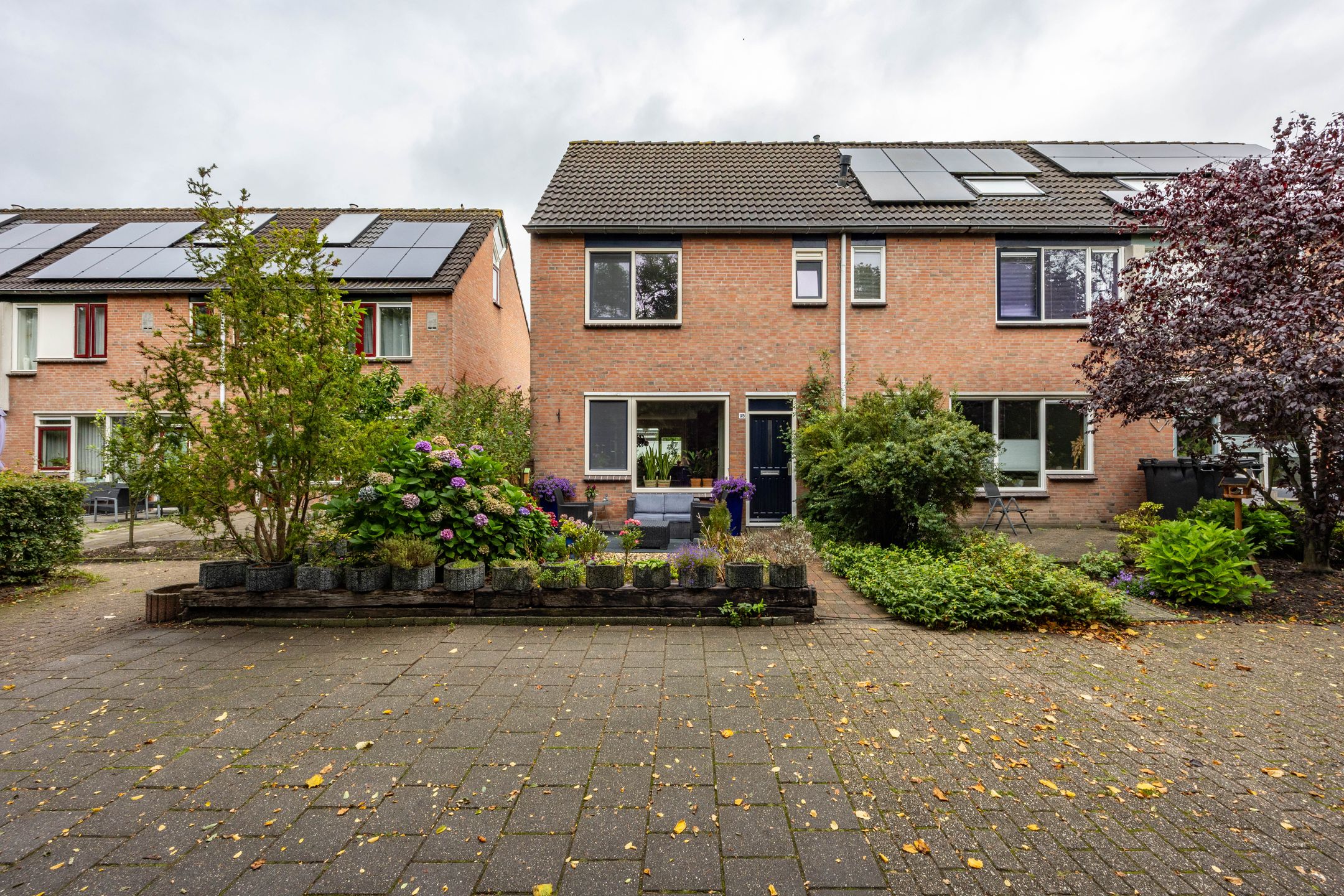 Foto 6 van Munsterheerd 95