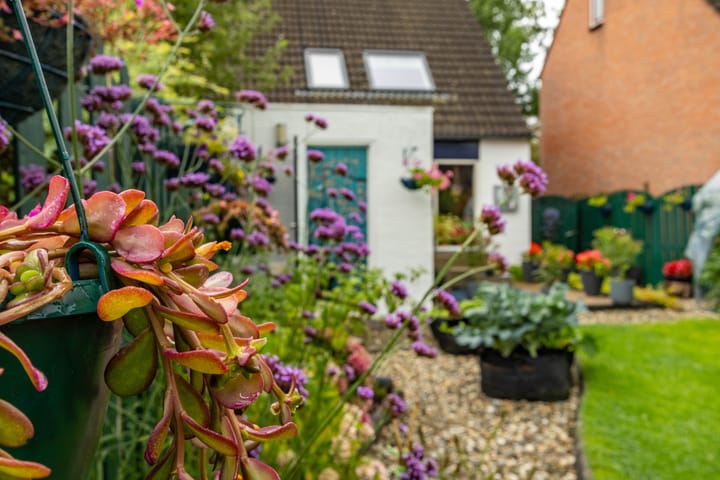 Foto 23 van Munsterheerd 95