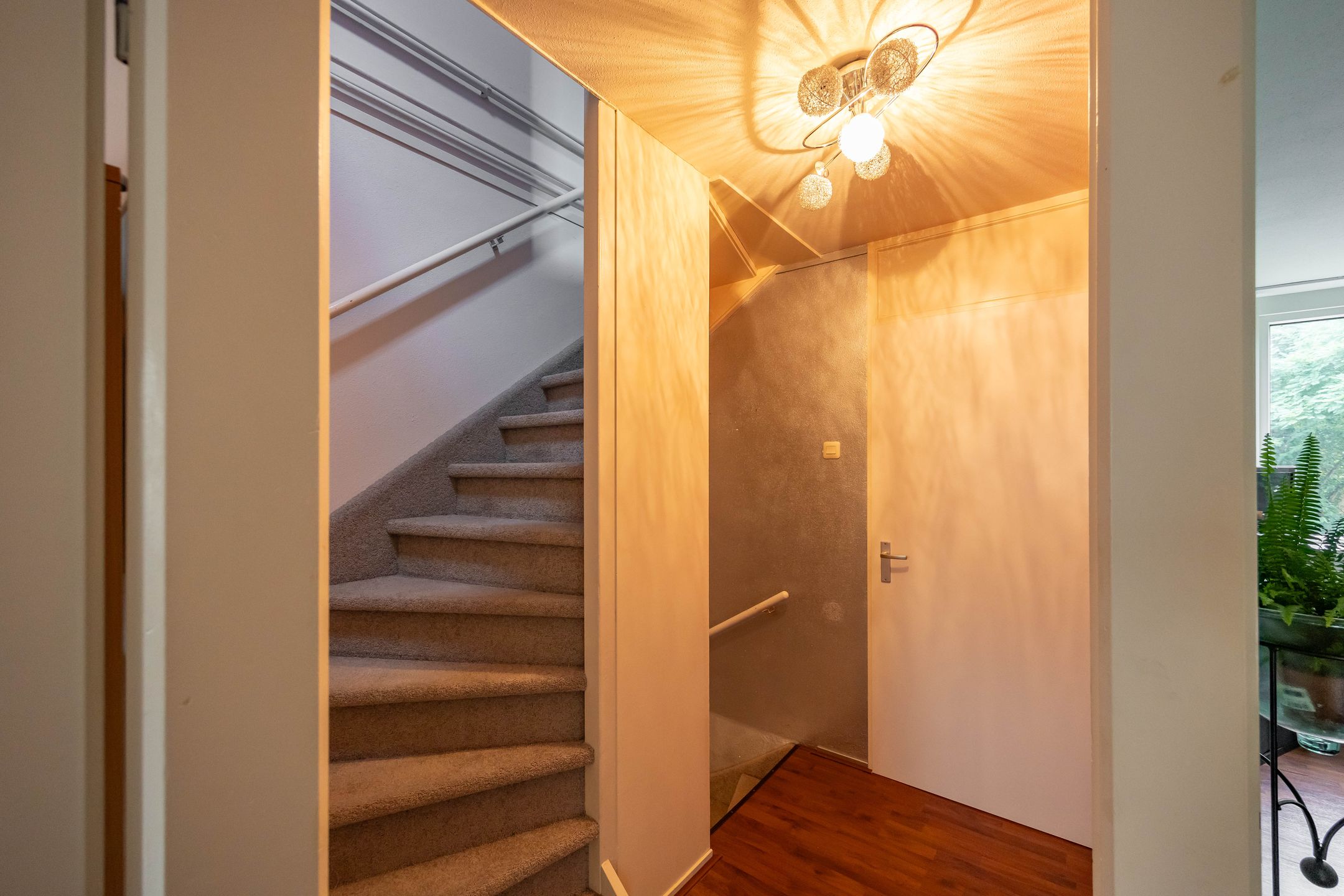 Foto 39 van Munsterheerd 95